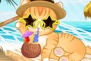 宠物喵星人的夏日之旅